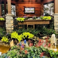 Colorado Garden and Home Show 2022