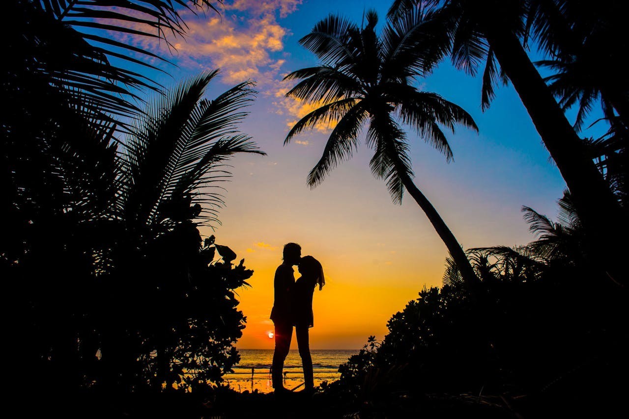 Silhouette of a man and a woman kissing next to palm trees