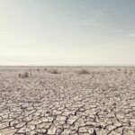 More people moving into drought-prone areas than out: Study