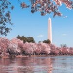 Douglas Elliman to expand into nation’s capital