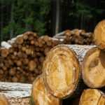 Lumber prices sawed in half in 2nd pandemic-era plunge